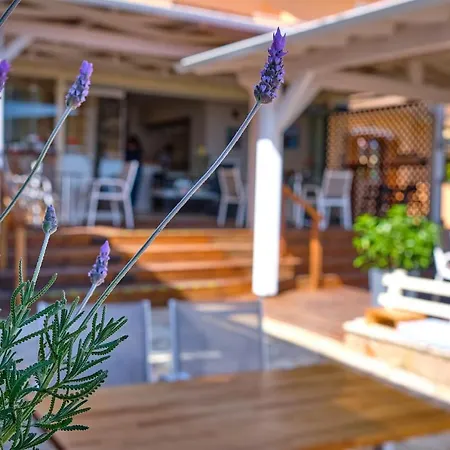 Houmis Apts & 3* Agios Georgios Pagon